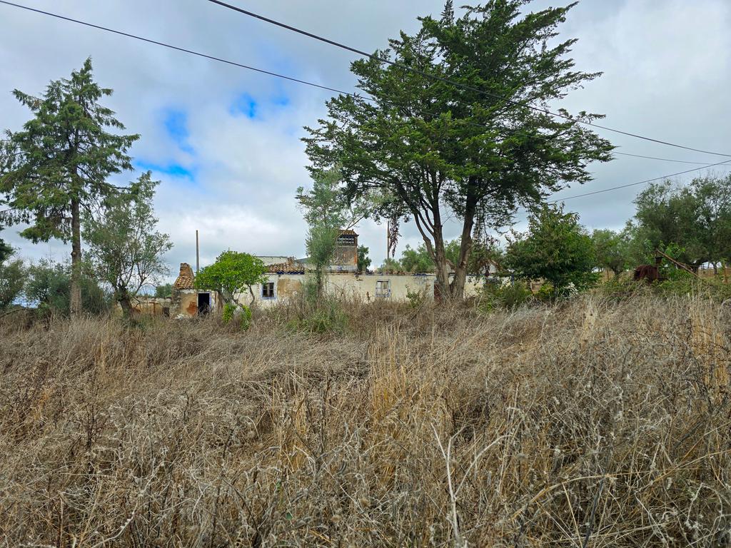 Lote de Terreno com Ruína em Montemor-o-Novo - Image 34