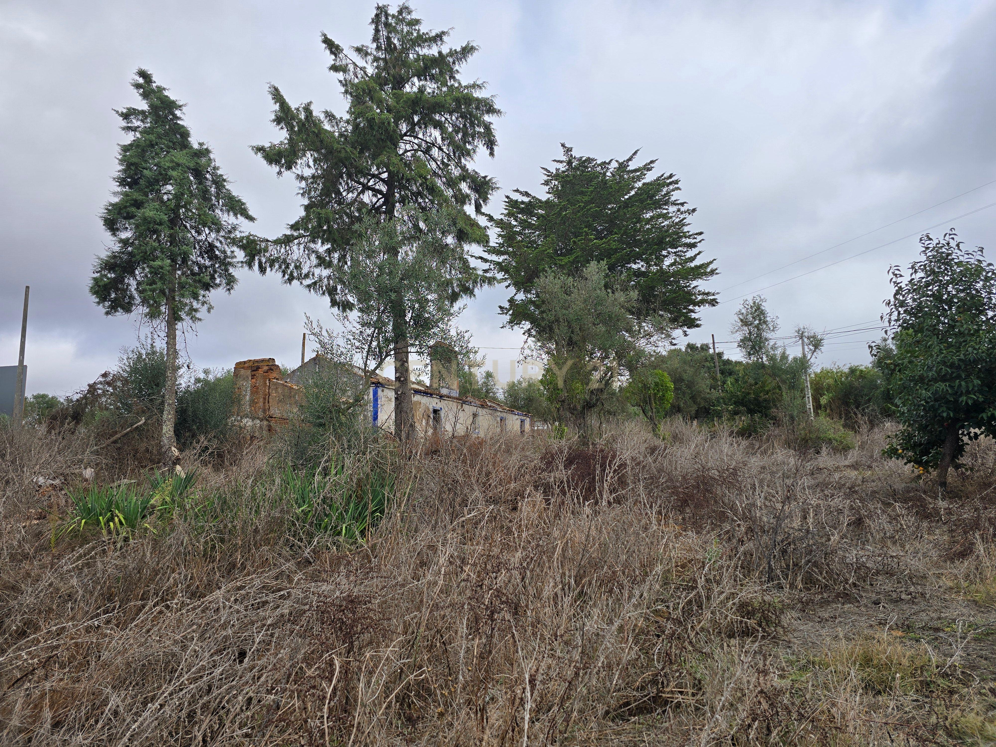 Lote de Terreno com Ruína em Montemor-o-Novo - Image 32