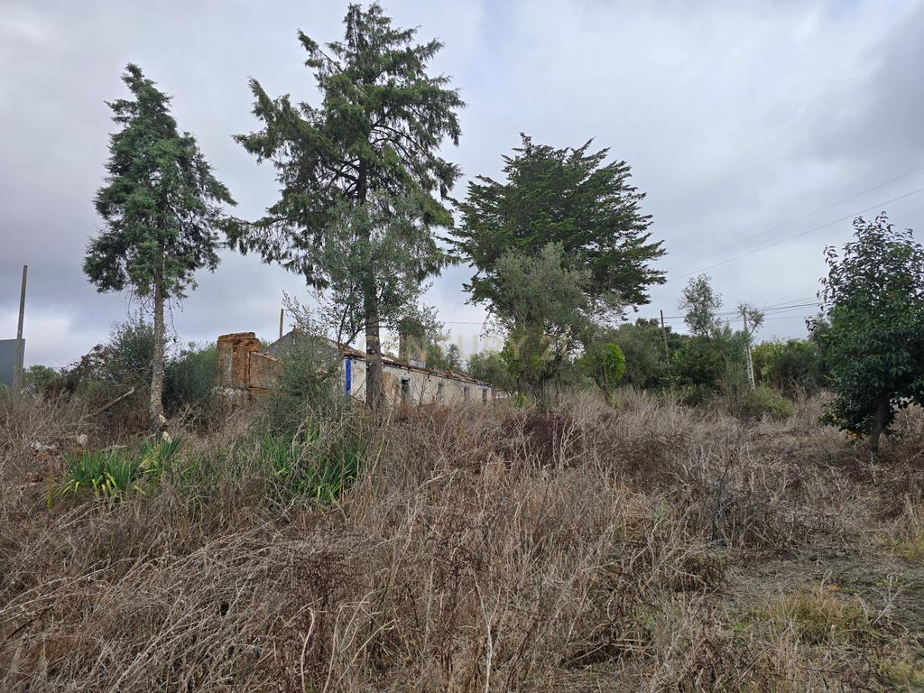 Lote de Terreno com Ruína em Montemor-o-Novo - Image 32