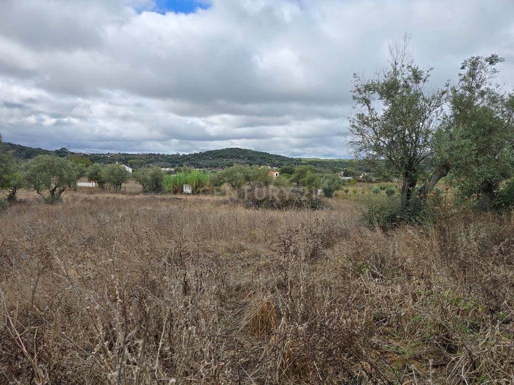 Lote de Terreno com Ruína em Montemor-o-Novo - Image 18