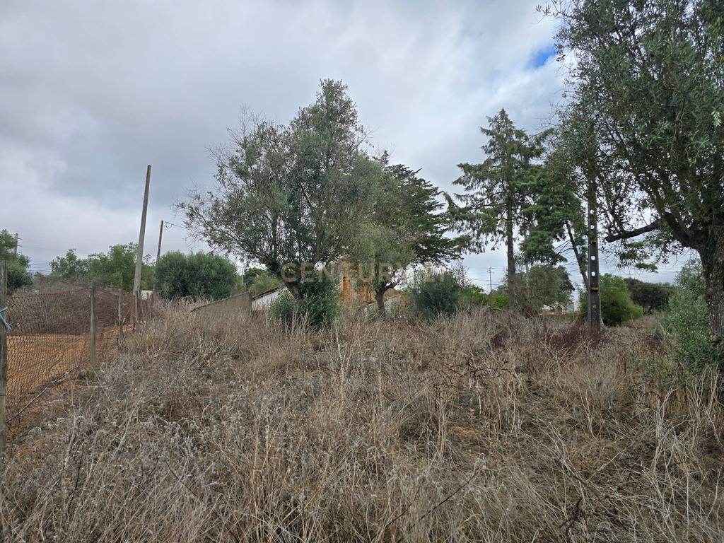 Lote de Terreno com Ruína em Montemor-o-Novo - Image 7