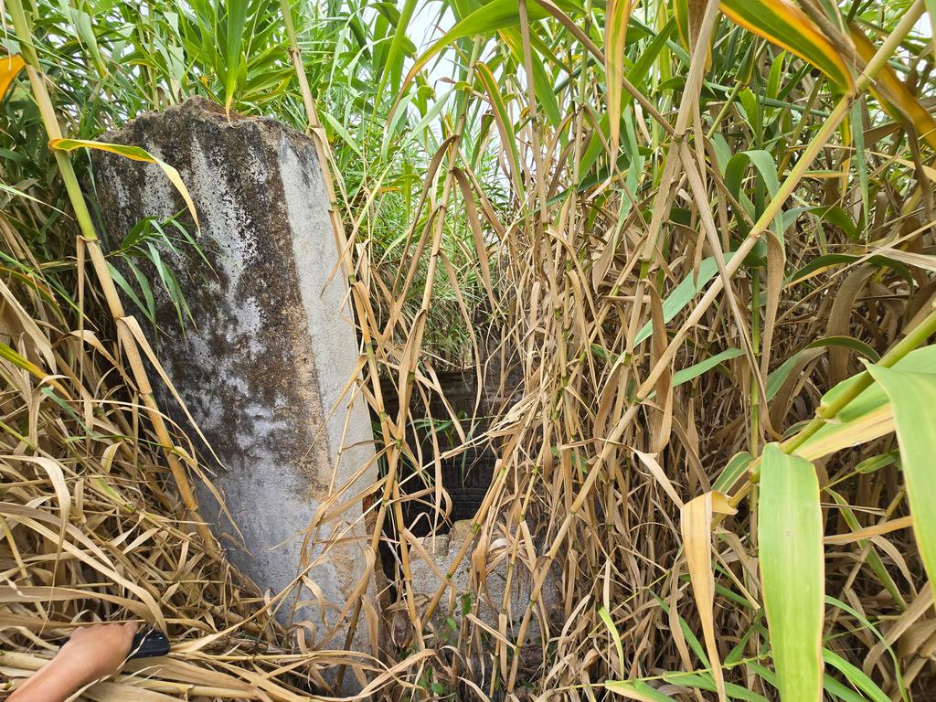 Lote de Terreno com Ruína em Montemor-o-Novo - Image 10