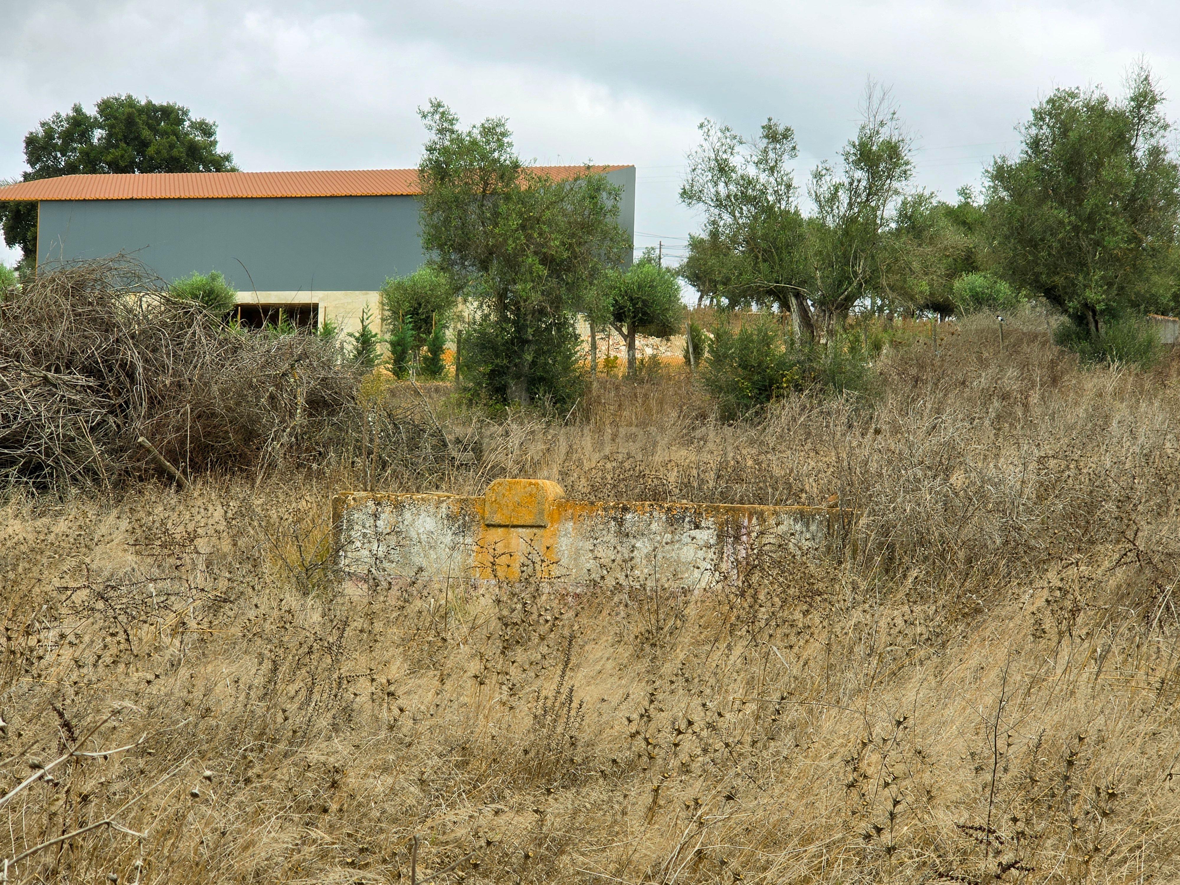 Lote de Terreno com Ruína em Montemor-o-Novo - Image 12
