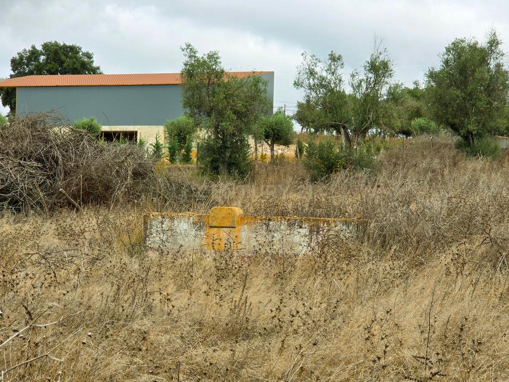 Lote de Terreno com Ruína em Montemor-o-Novo - Image 12