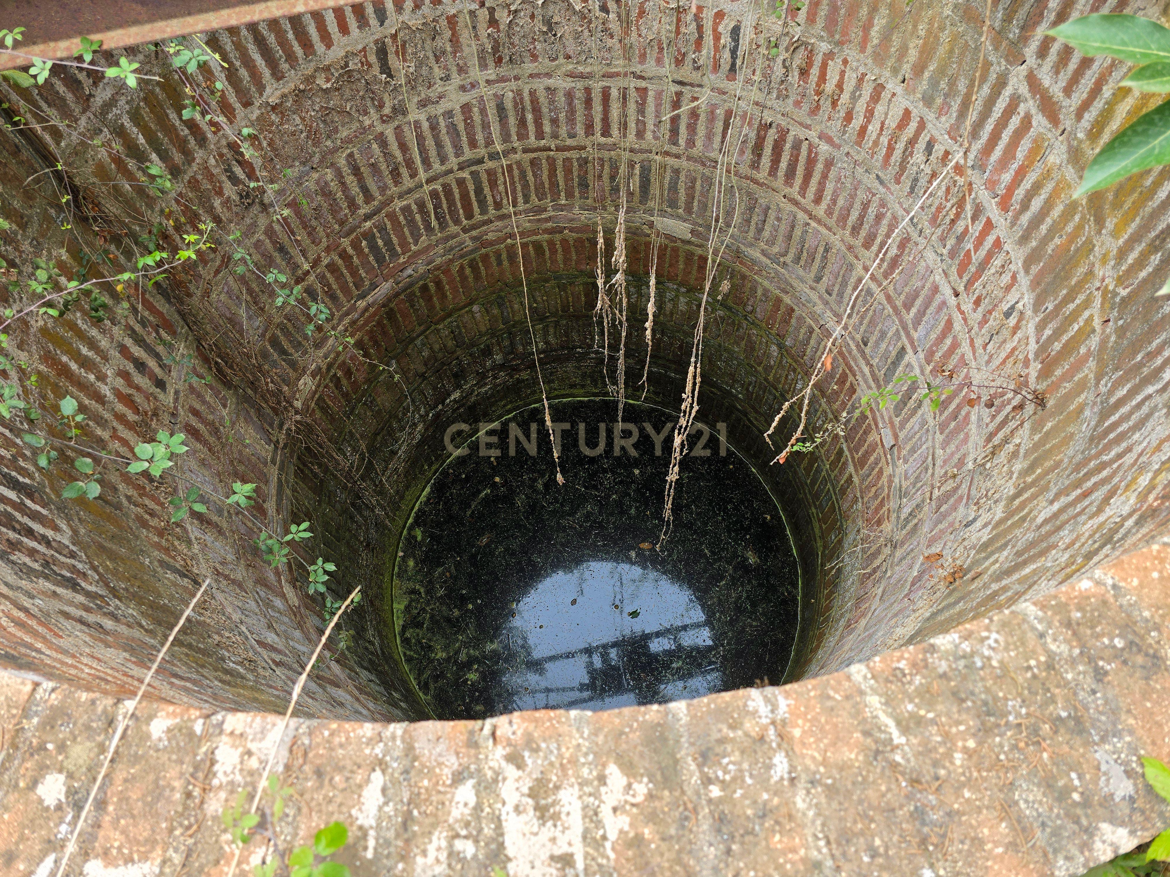 Lote de Terreno com Ruína em Montemor-o-Novo - Image 11