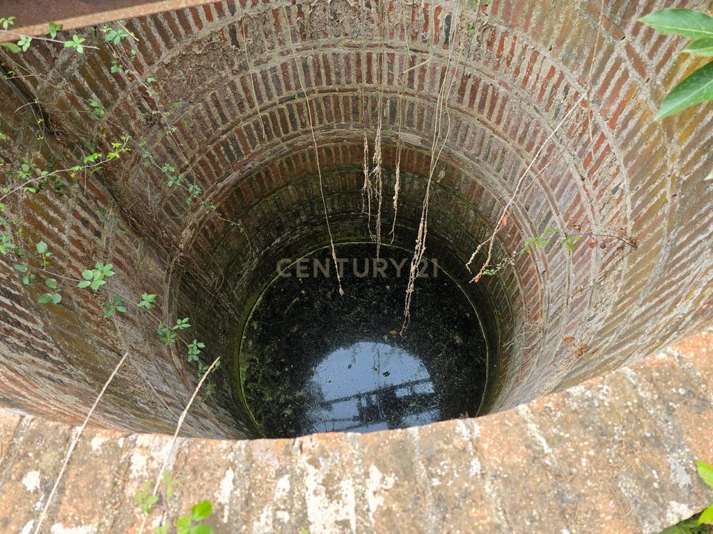Lote de Terreno com Ruína em Montemor-o-Novo - Image 11