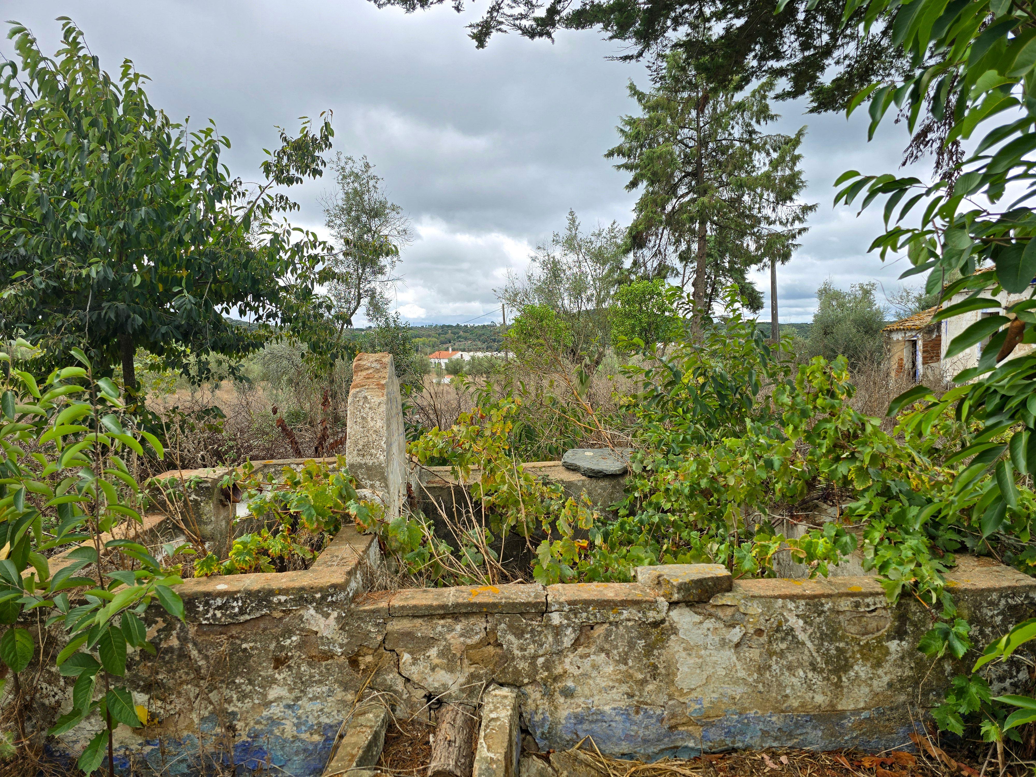 Lote de Terreno com Ruína em Montemor-o-Novo - Image 5