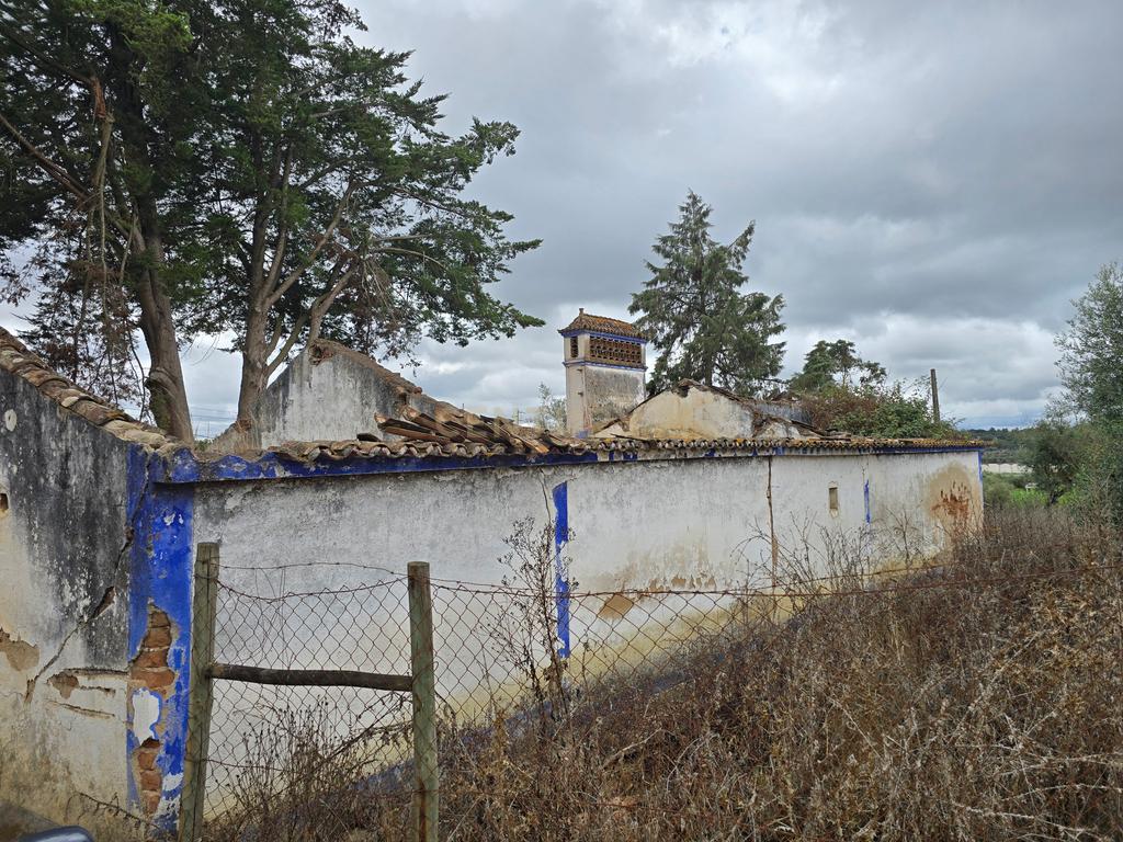 Lote de Terreno com Ruína em Montemor-o-Novo - Image 13