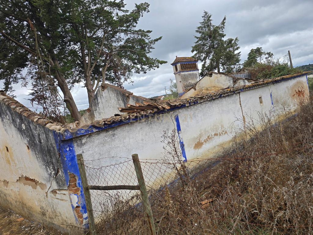 Lote de Terreno com Ruína em Montemor-o-Novo - Image 25