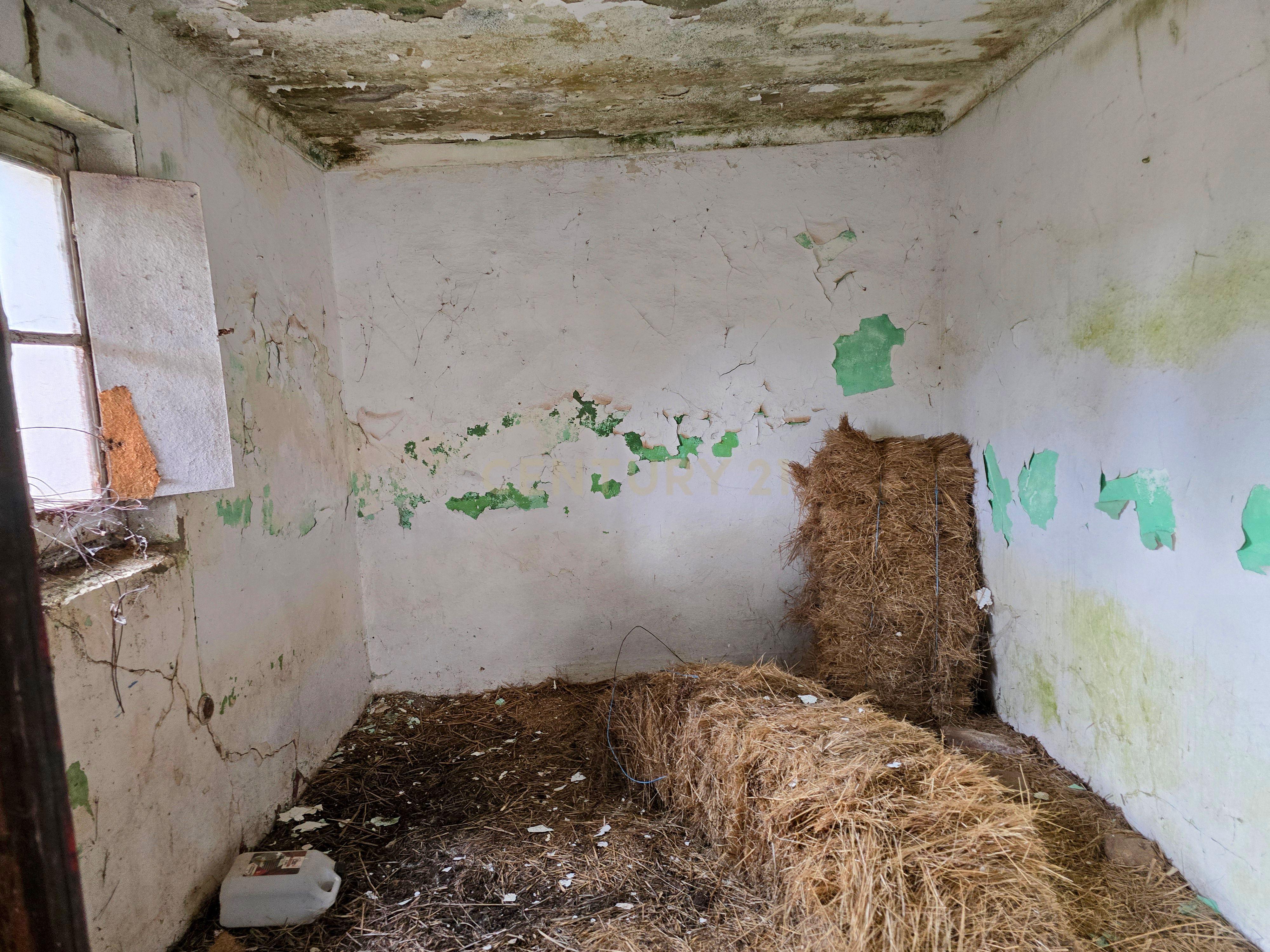Lote de Terreno com Ruína em Montemor-o-Novo - Image 16