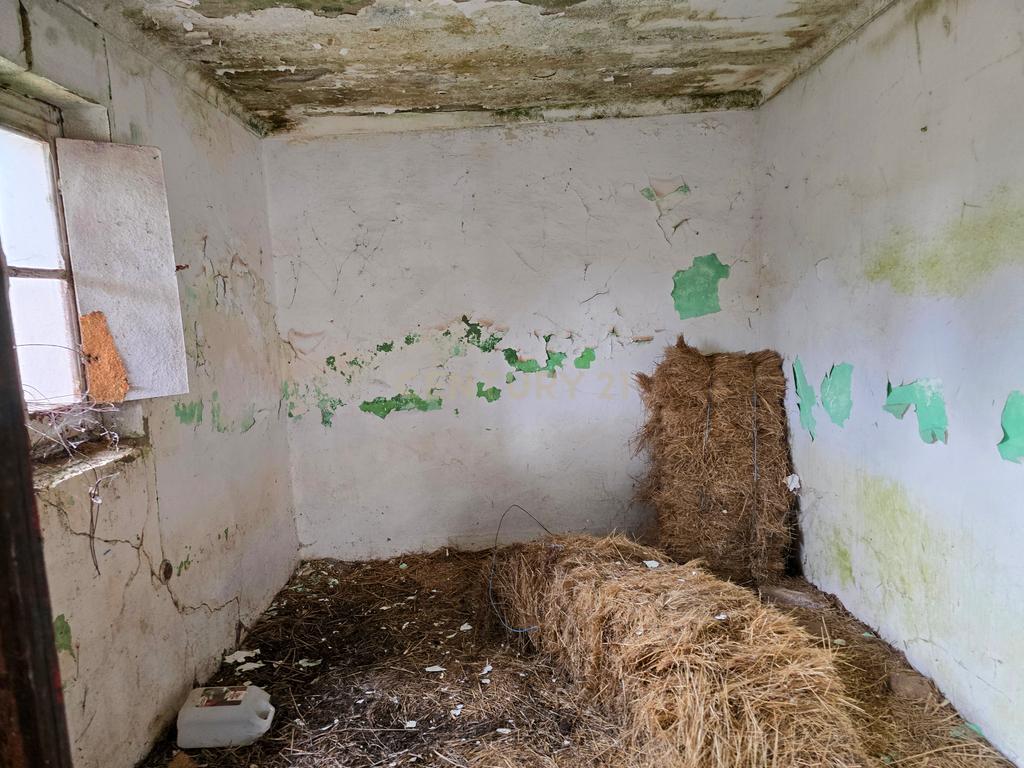 Lote de Terreno com Ruína em Montemor-o-Novo - Image 16