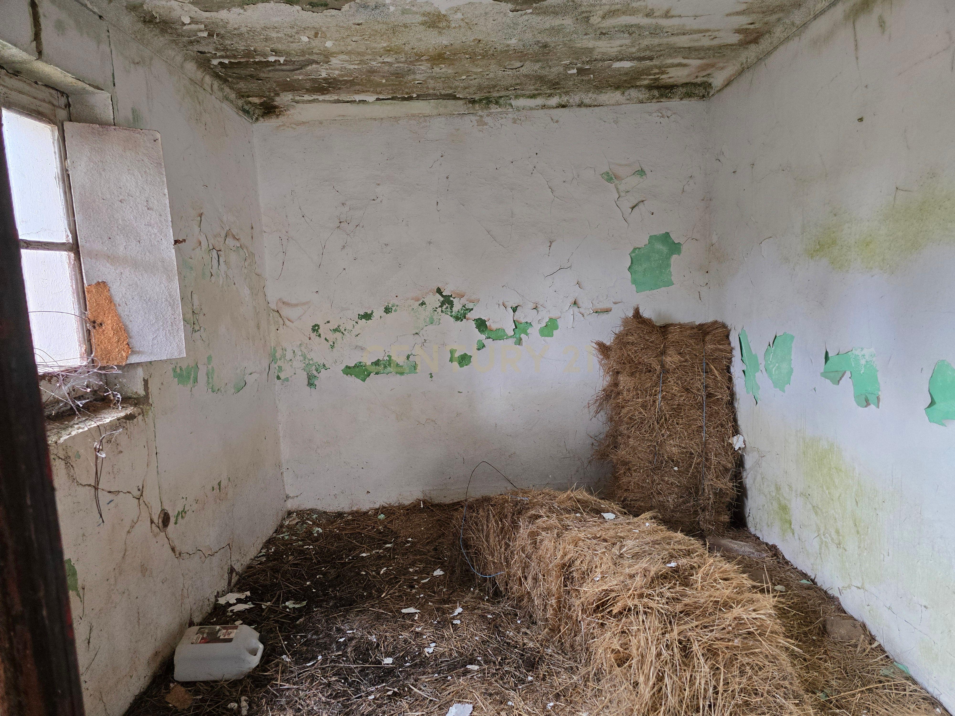 Lote de Terreno com Ruína em Montemor-o-Novo - Image 17