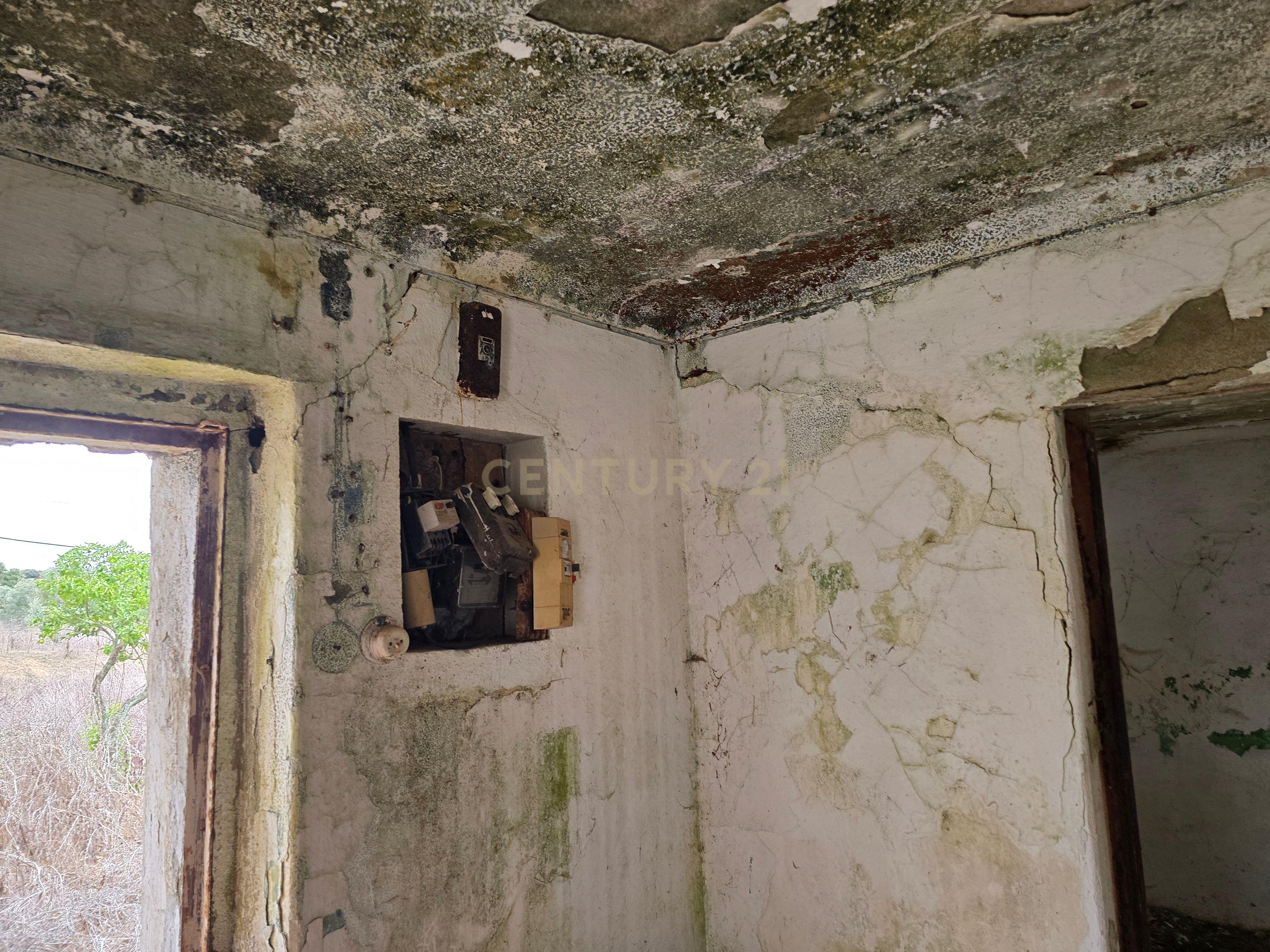 Lote de Terreno com Ruína em Montemor-o-Novo - Image 19