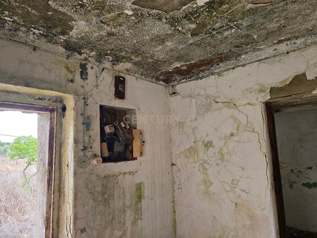 Lote de Terreno com Ruína em Montemor-o-Novo - Image 19
