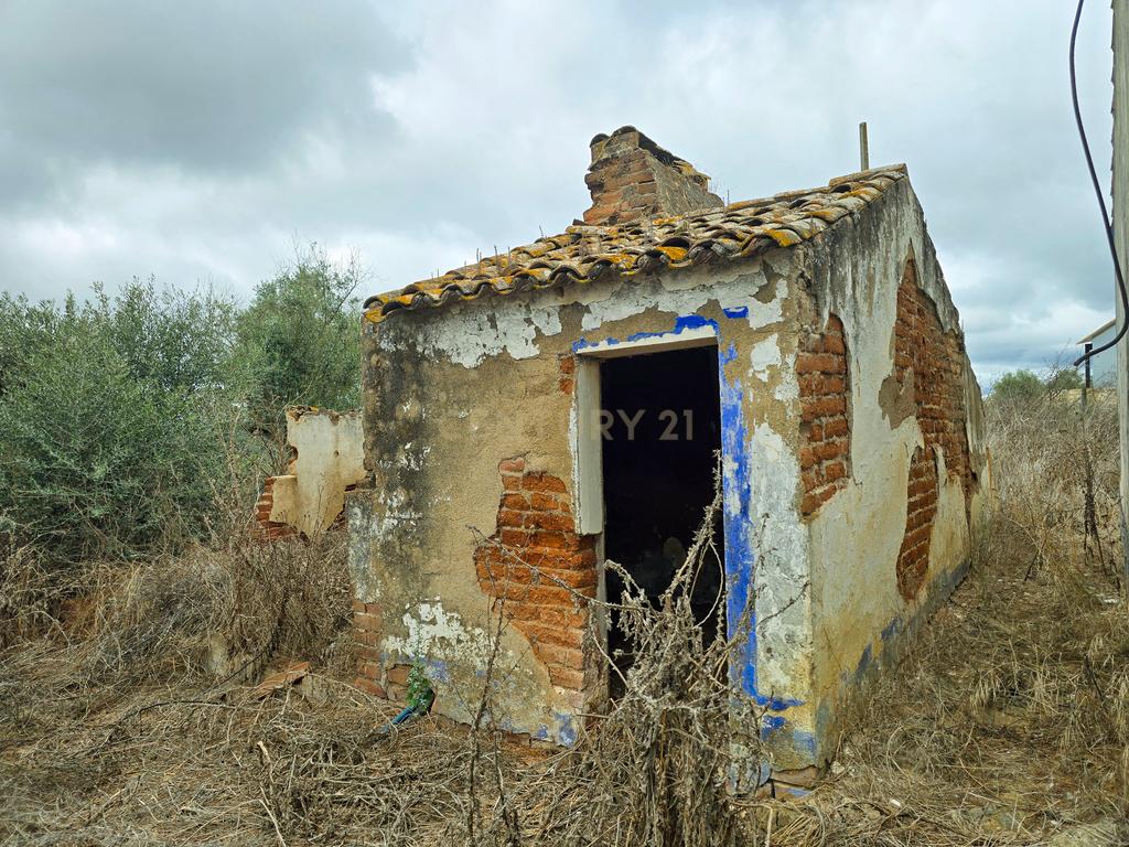 Lote de Terreno com Ruína em Montemor-o-Novo - Image 21