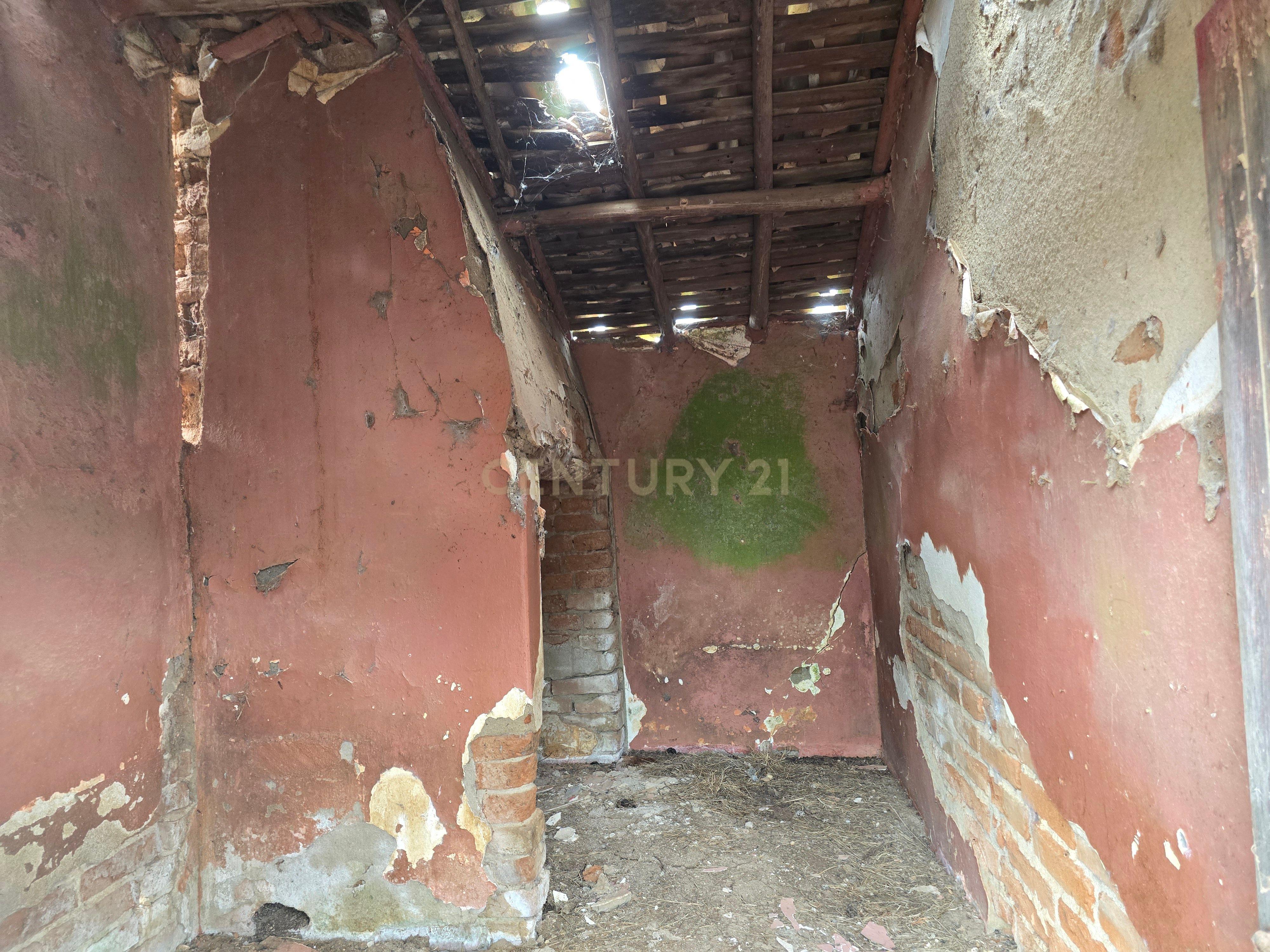 Lote de Terreno com Ruína em Montemor-o-Novo - Image 22