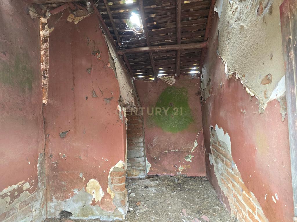 Lote de Terreno com Ruína em Montemor-o-Novo - Image 22