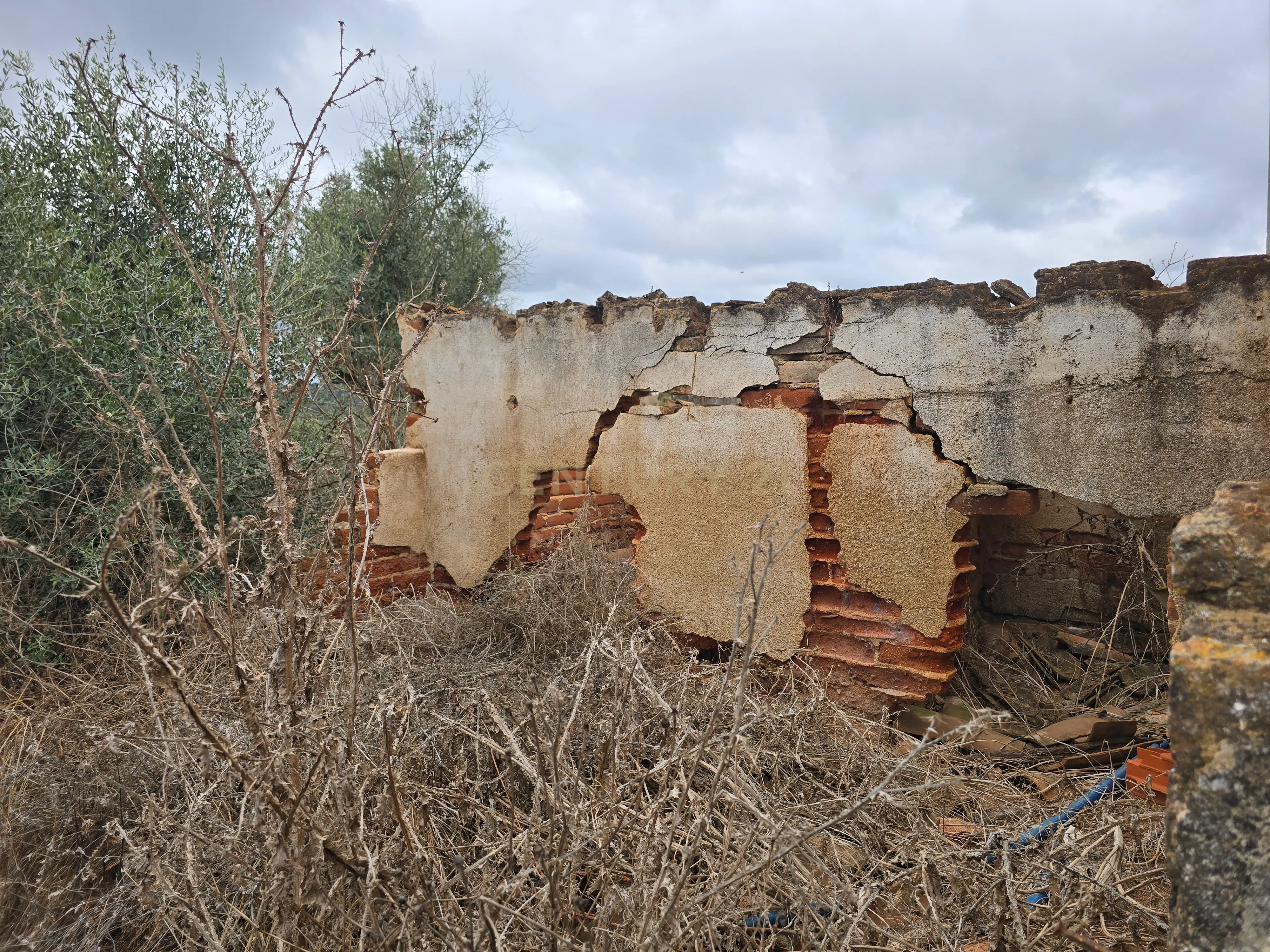 Lote de Terreno com Ruína em Montemor-o-Novo - Image 23