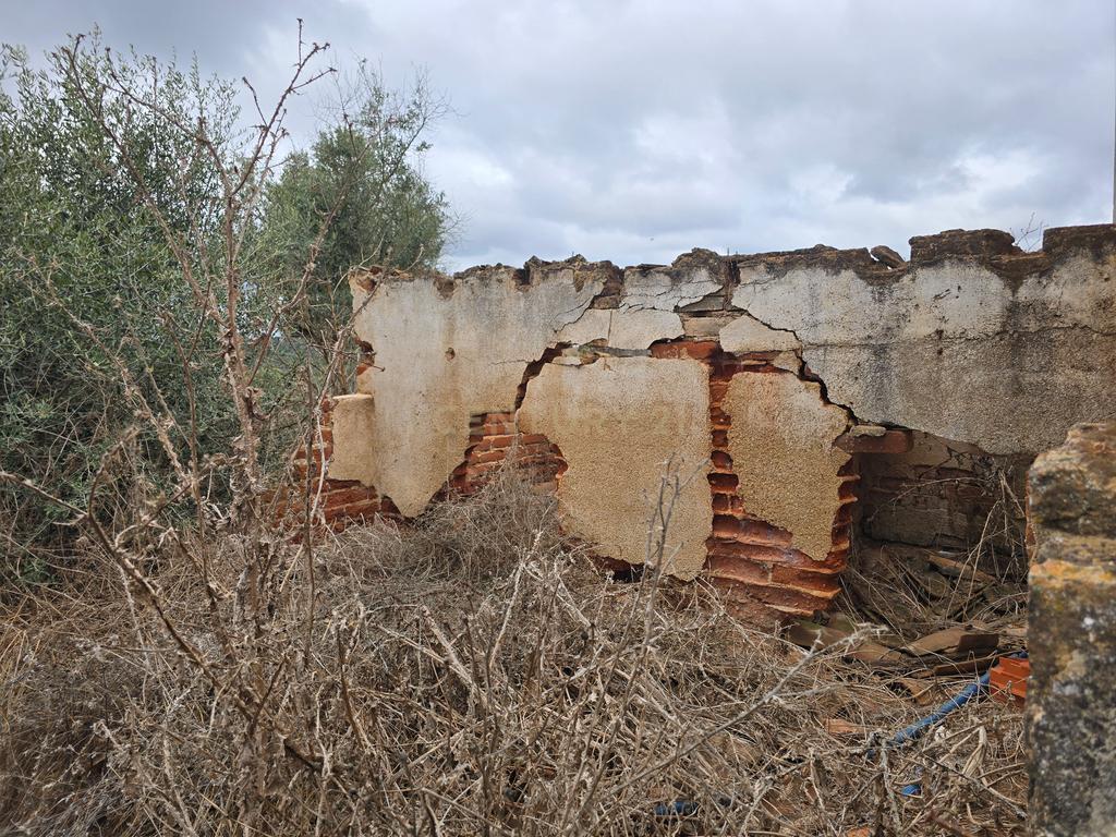 Lote de Terreno com Ruína em Montemor-o-Novo - Image 23