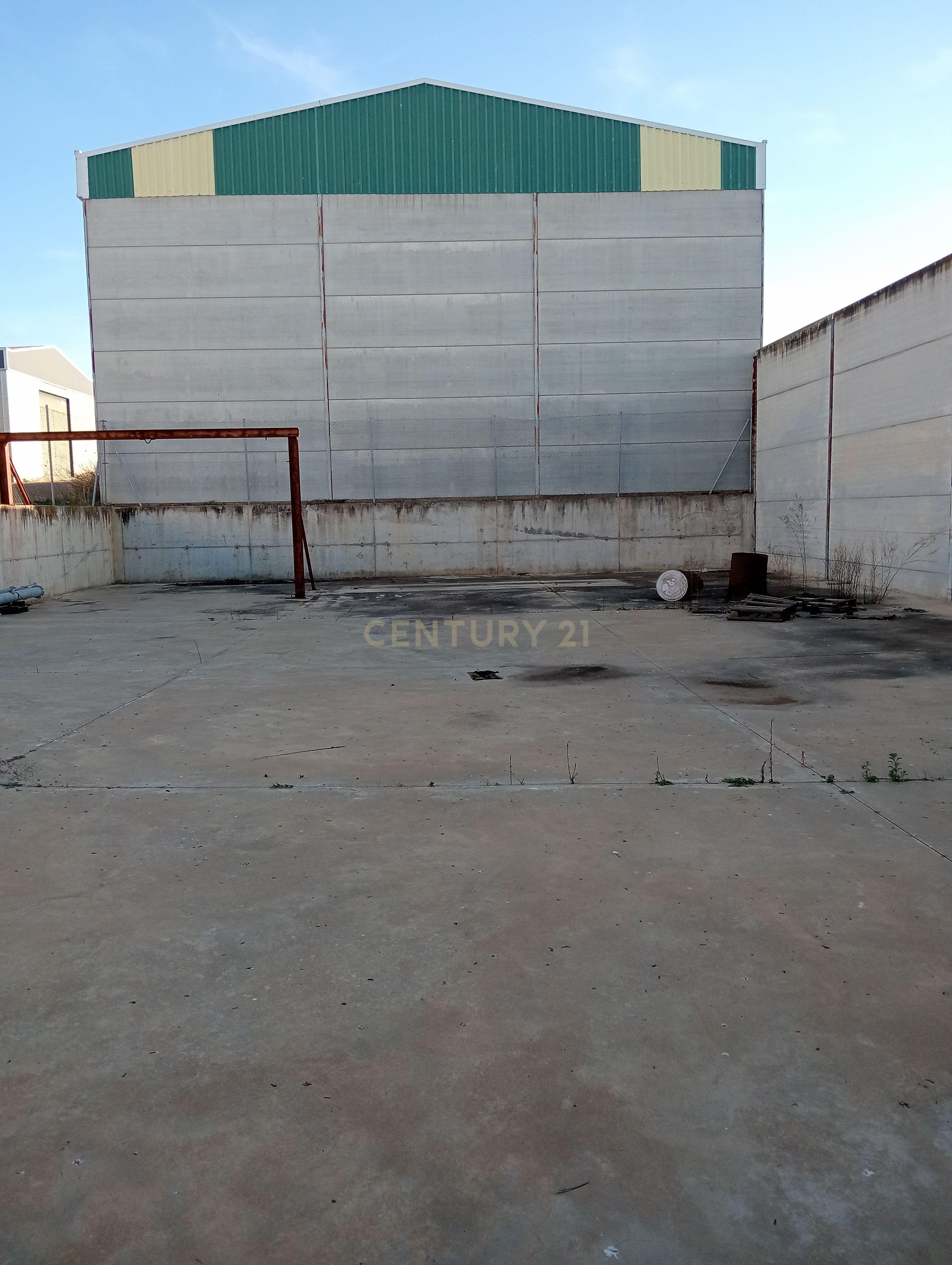 undefined - Image 8