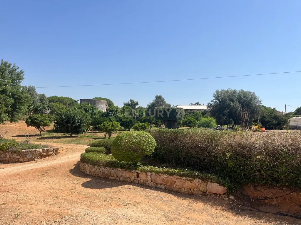 Quinta com 208.790m2, em Plena produção de Citrinos, e estufas, com elevado rendimento. Grande Potencial para projetos com fundos Europeus, e Turismo Rural. - Image 22