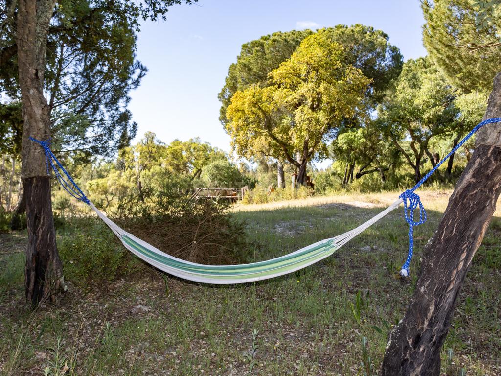 Quinta a 1 hora de Lisboa - Cortiçadas de Lavre - Próximo novo Aeroporto!!! - Image 90