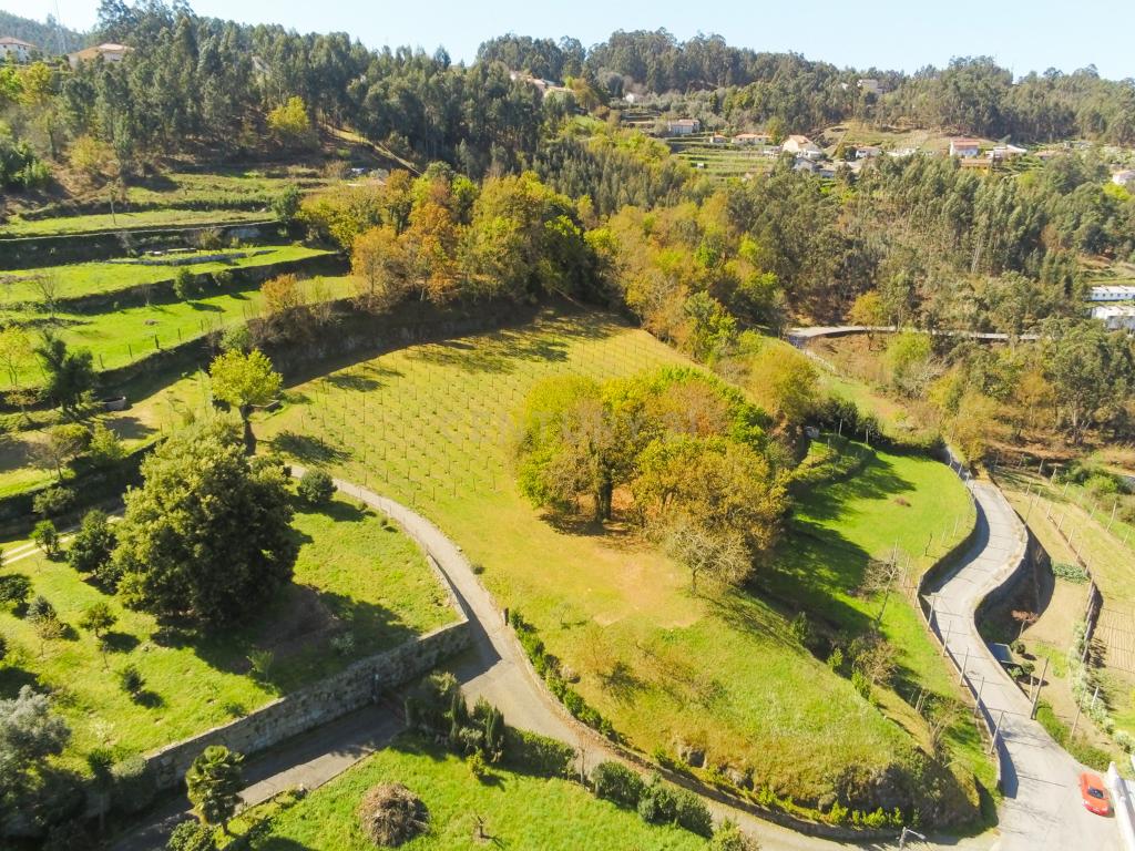 Quinta com Licença de Empreendimento Turístico - Póvoa de Lanhoso - Image 3