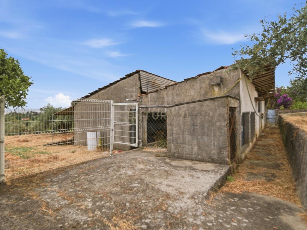 Quinta de Charme com Moradia Bifamiliar T7 e Potencial Único | Carril, Junceira – Tomar - Image 60