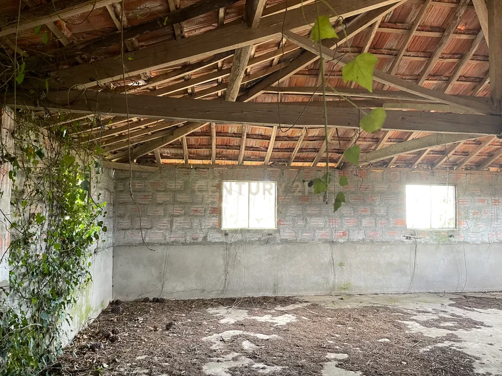 Propriedade com 1,8 hectares de área urbana e 3,2 hectares de solo fértil e floresta, composta por 8 edifícios independentes totalizando 700 m² de área construída, localizada no centro de Serrazes, São Pedro do Sul. - Image 57