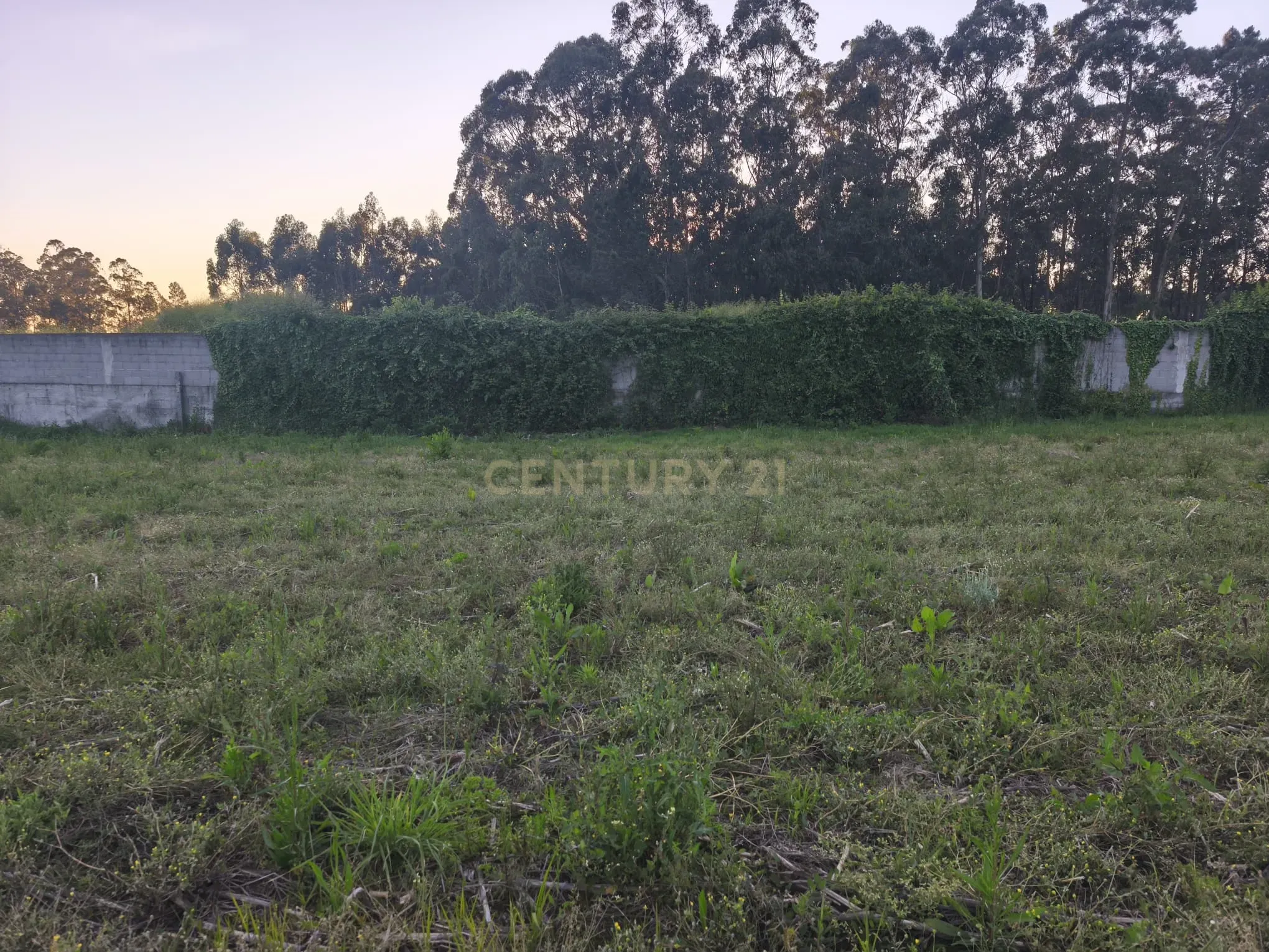 Fotografia 12 de Quer construir uma moradia à sua medida perto da Póvoa de Varzim?
