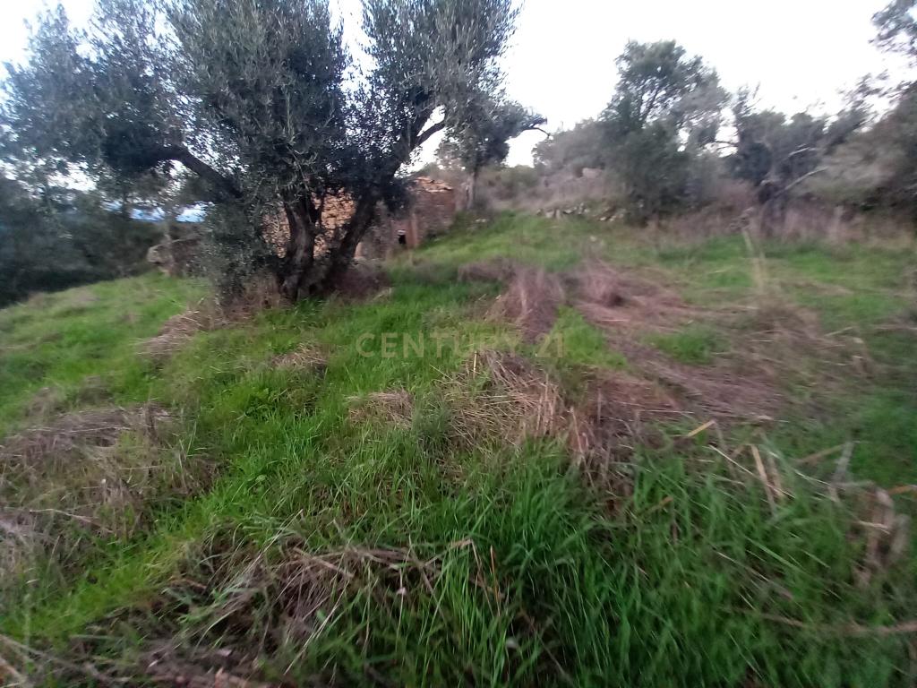 Terreno com Vista Panorâmica em Aldeia de Santa Margarida - Image 6