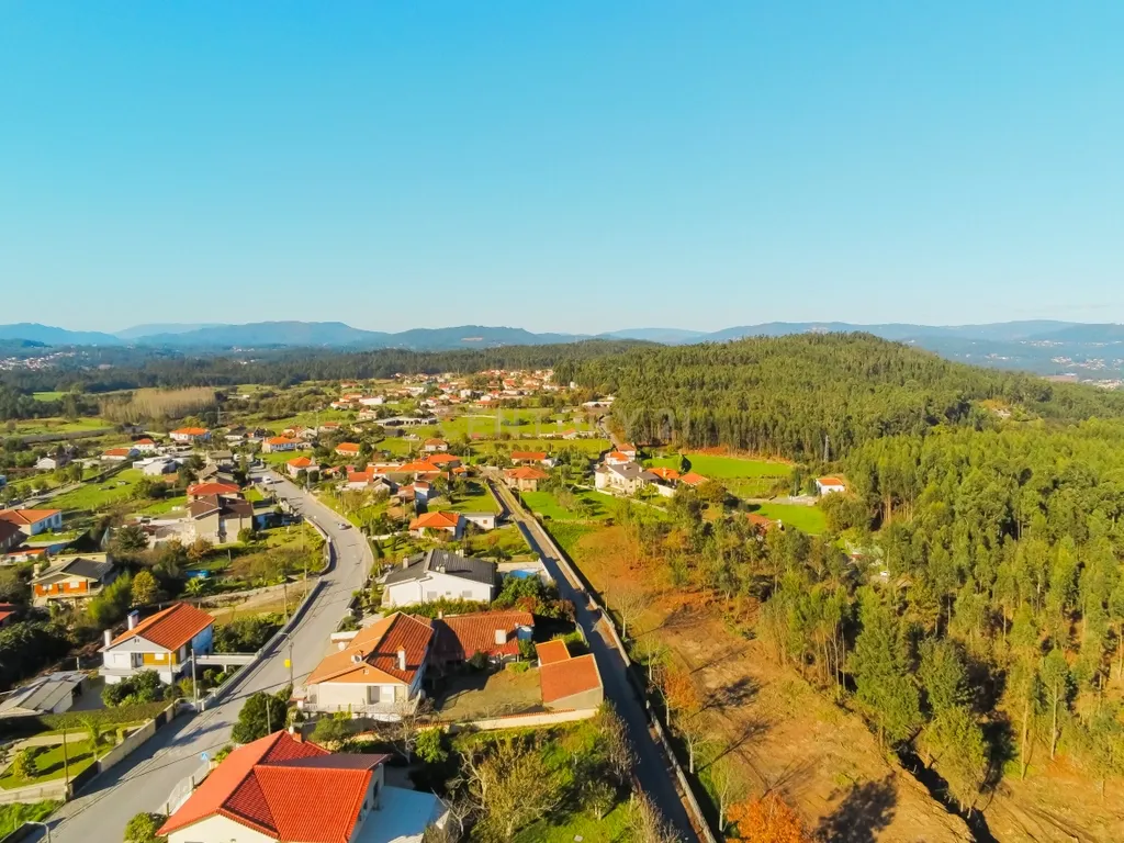 Terreno com 23.000 m2 em Igreja Nova - Barcelos - Image 10