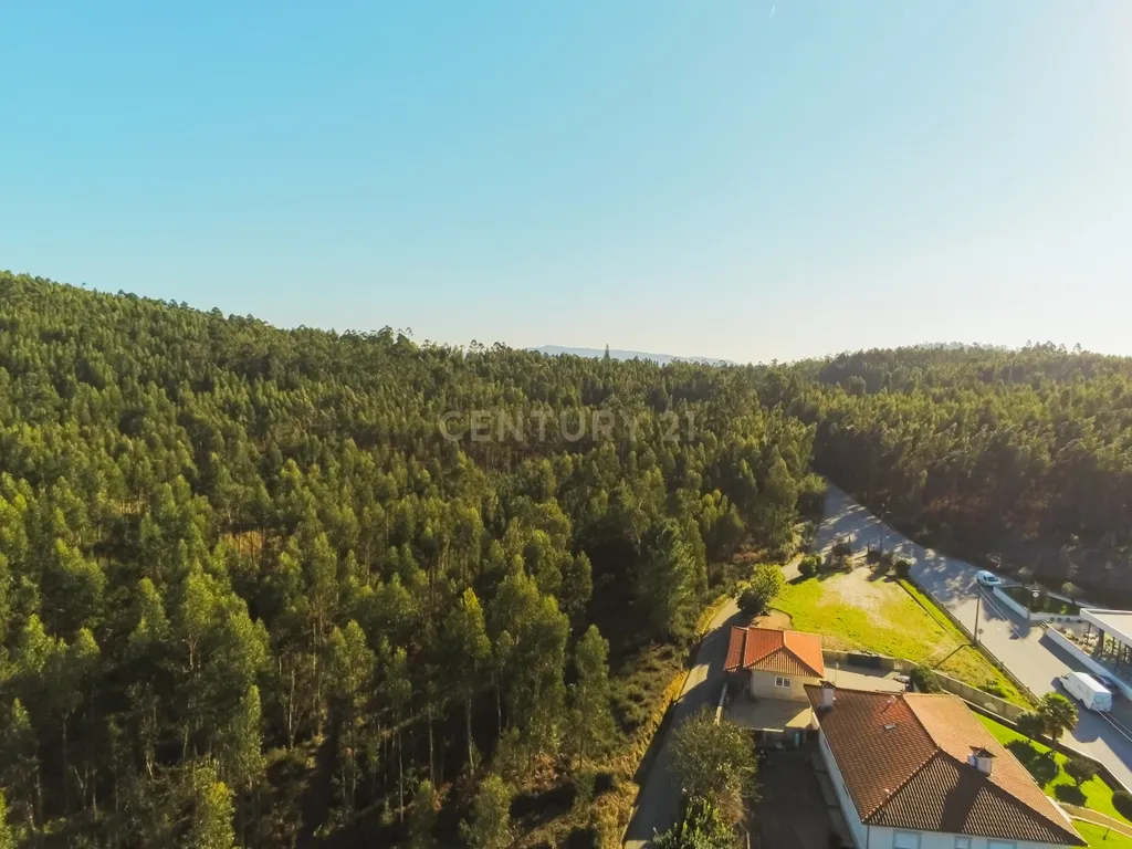 Terreno com 23.000 m2 em Igreja Nova - Barcelos - Image 12