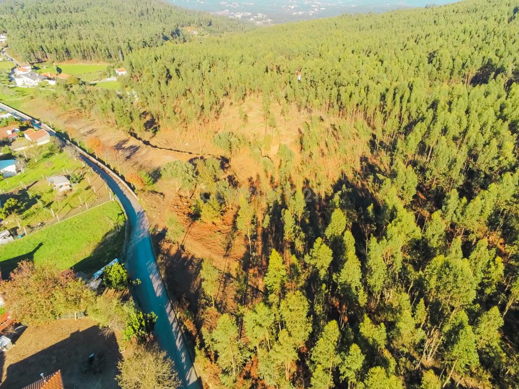 Terreno com 23.000 m2 em Igreja Nova - Barcelos - Image 14
