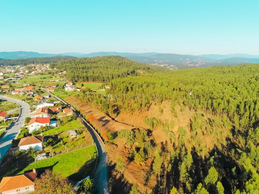 Terreno com 23.000 m2 em Igreja Nova - Barcelos - Image 15
