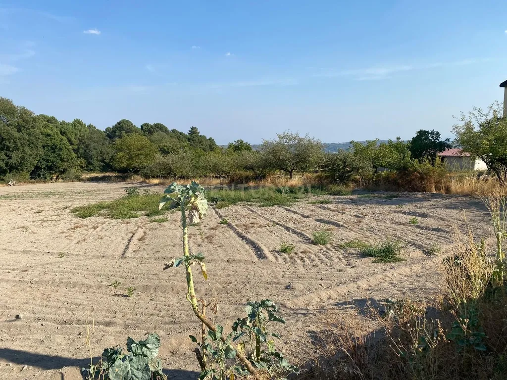 Terreno para construção a 16 Kms de Chaves - Image 3