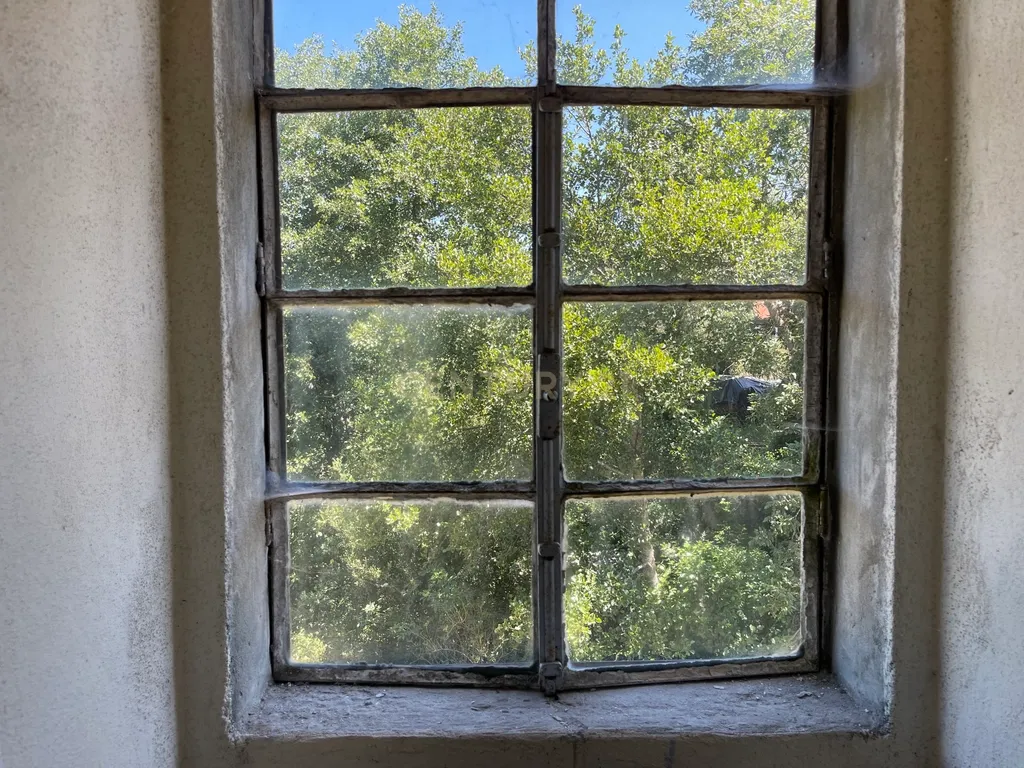 Uma quinta com uma casa que necessita de restauro, situada num terreno de 4000m², cortado por um riacho. - Image 26