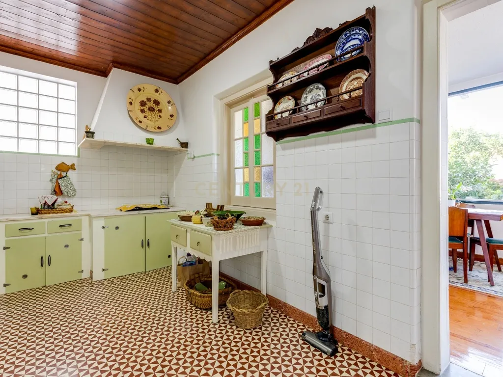 PROPRIEDADE DE CHARME JUNTO À GOLEGÃ - Image 13