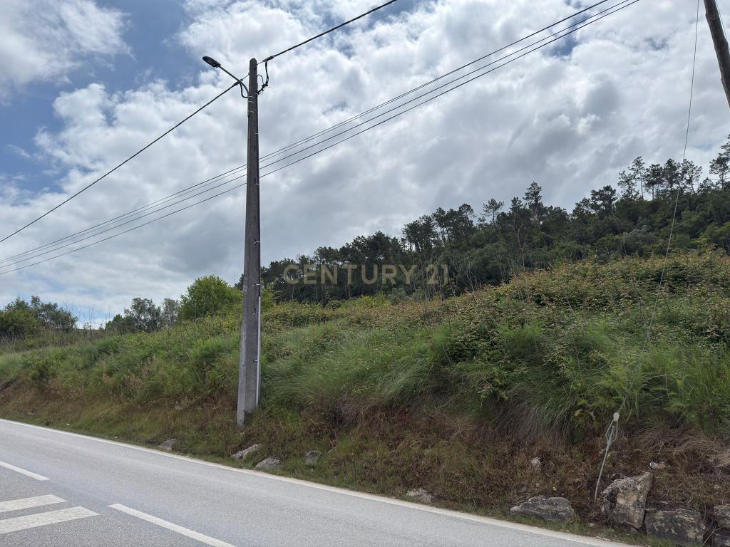 Terreno à venda em Alcobaça – Oportunidade única! - Image 11
