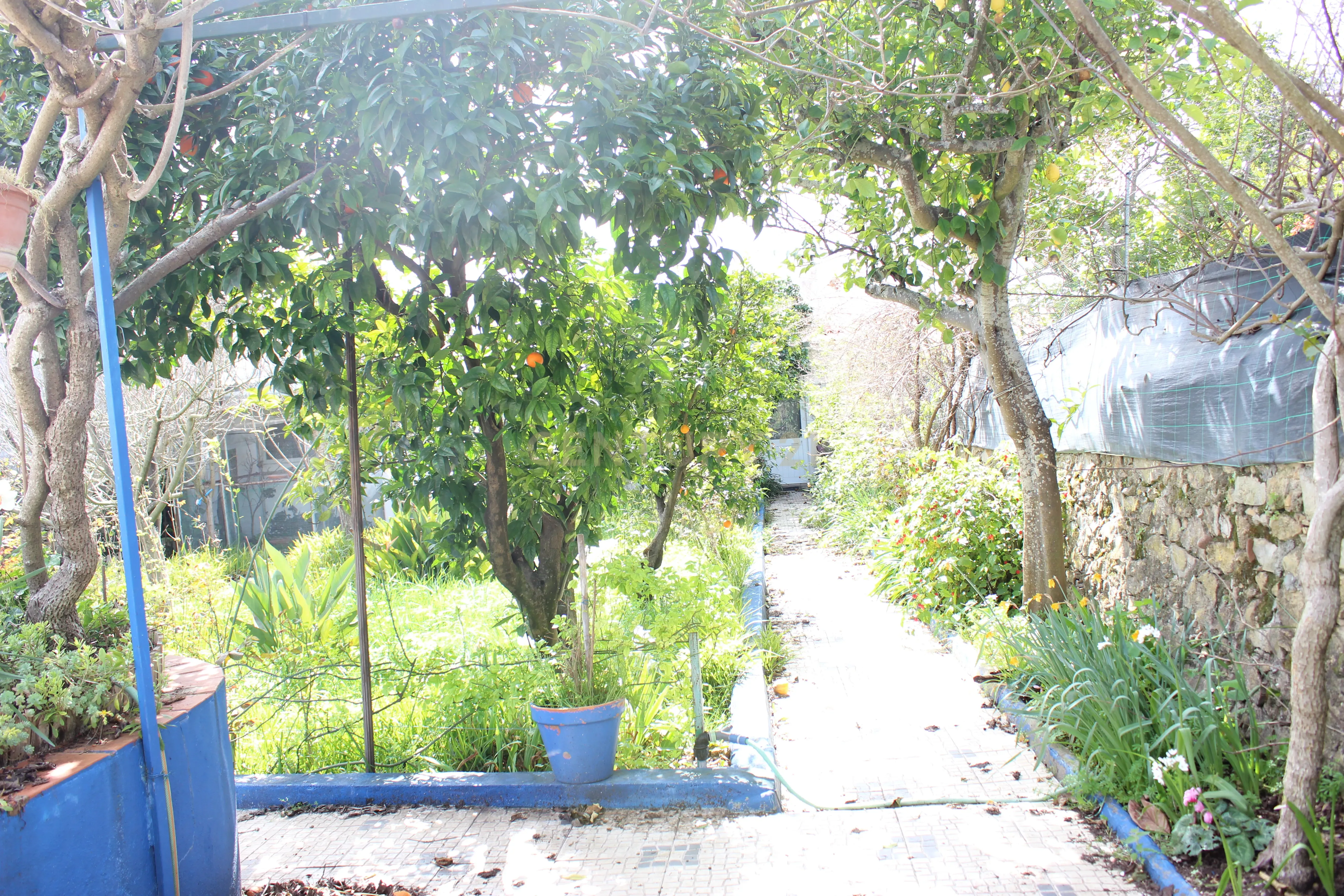 Fotografia 6 de Moradia T4 com terreno de 1.050m2 em Cano (Sousel)
