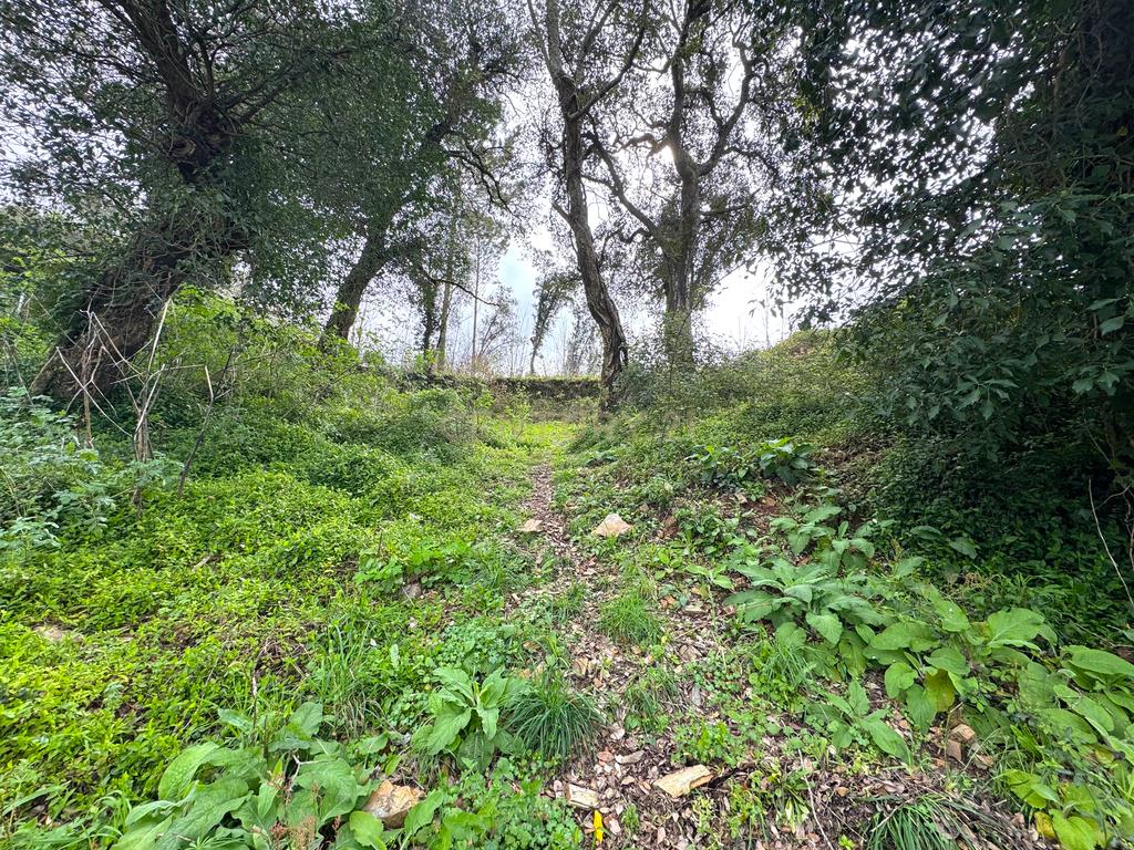 Terreno para construção com 7.000m2 em Melres, Gondomar  - Image 10