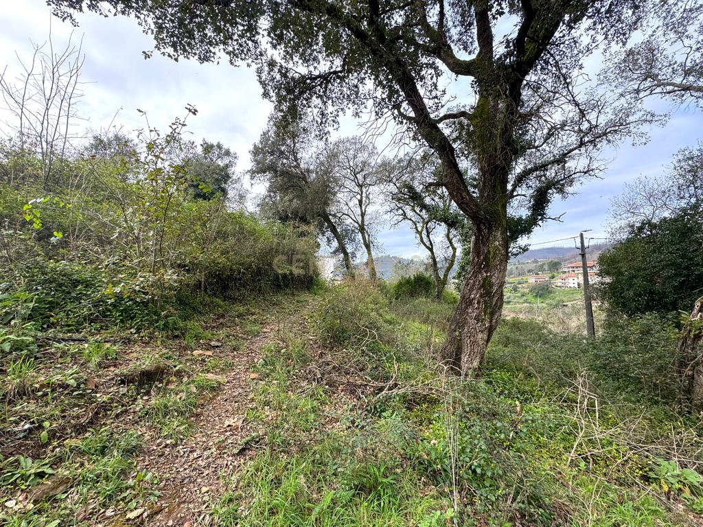 Terreno para construção com 7.000m2 em Melres, Gondomar  - Image 11