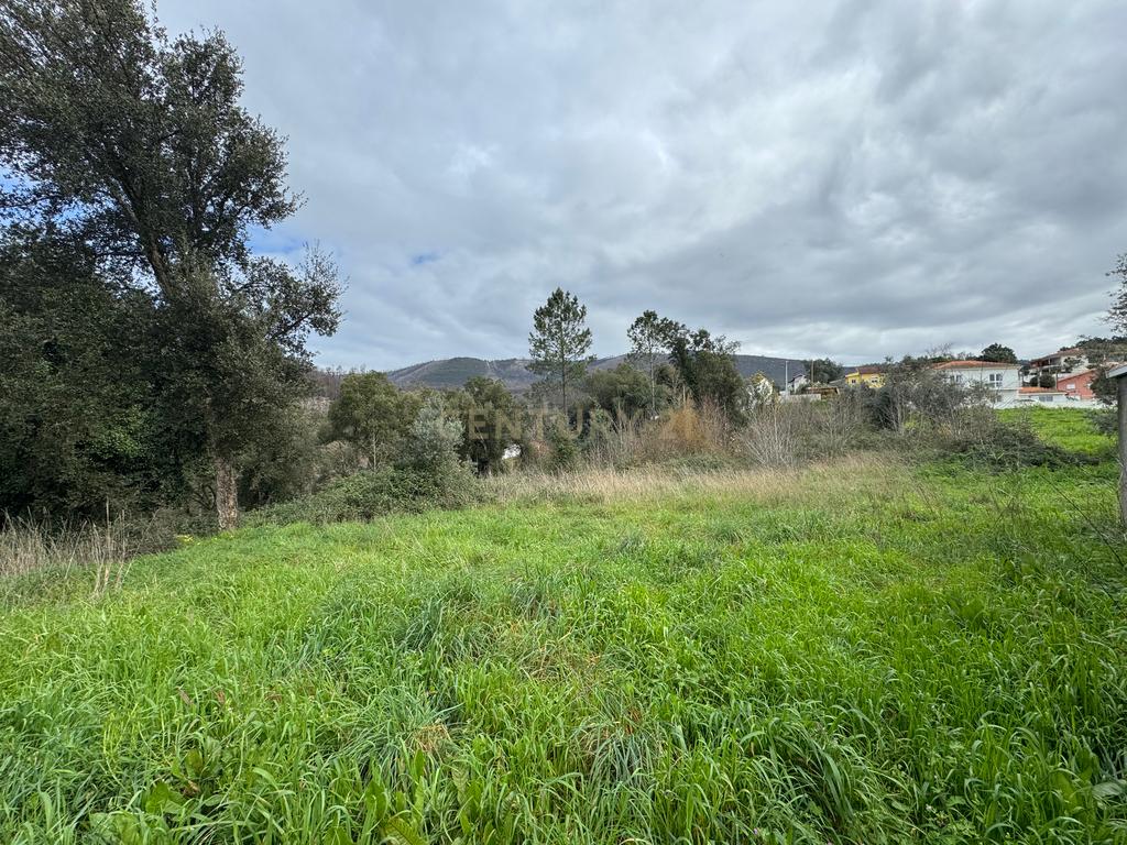 Terreno para construção com 7.000m2 em Melres, Gondomar  - Image 4