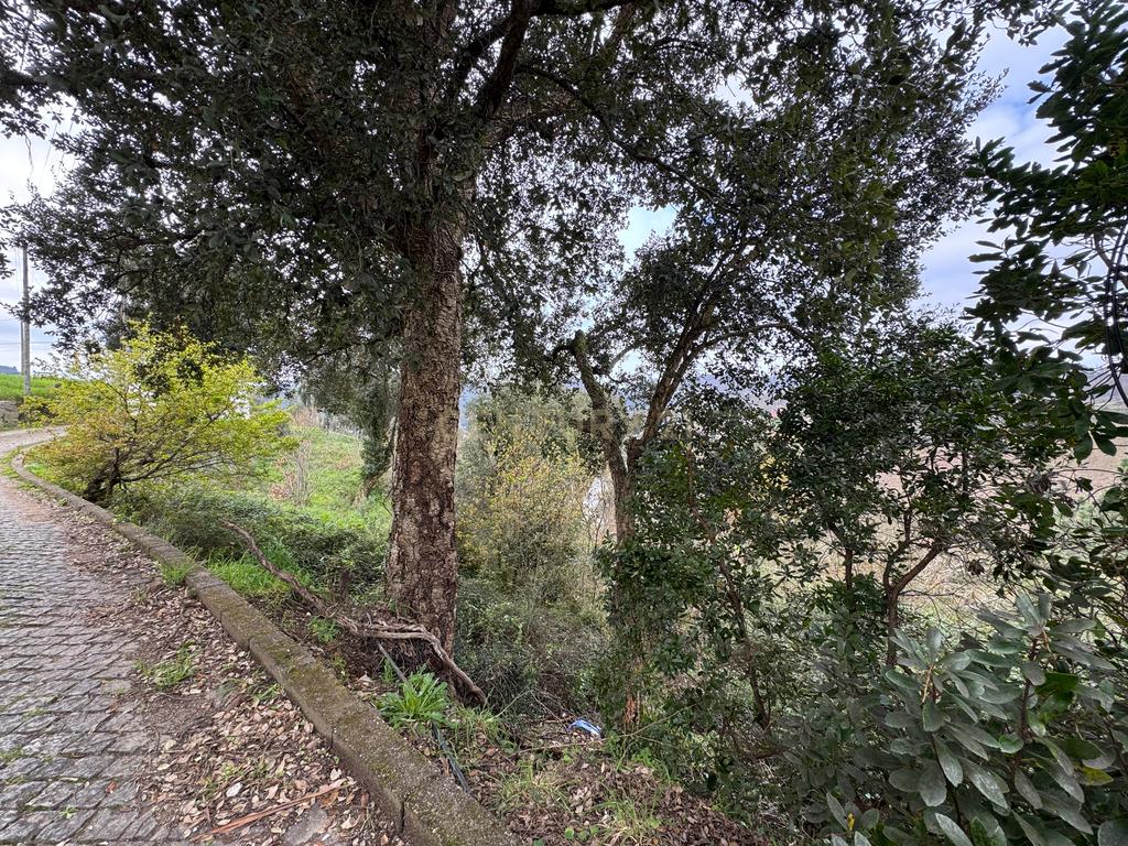 Terreno para construção com 7.000m2 em Melres, Gondomar  - Image 9
