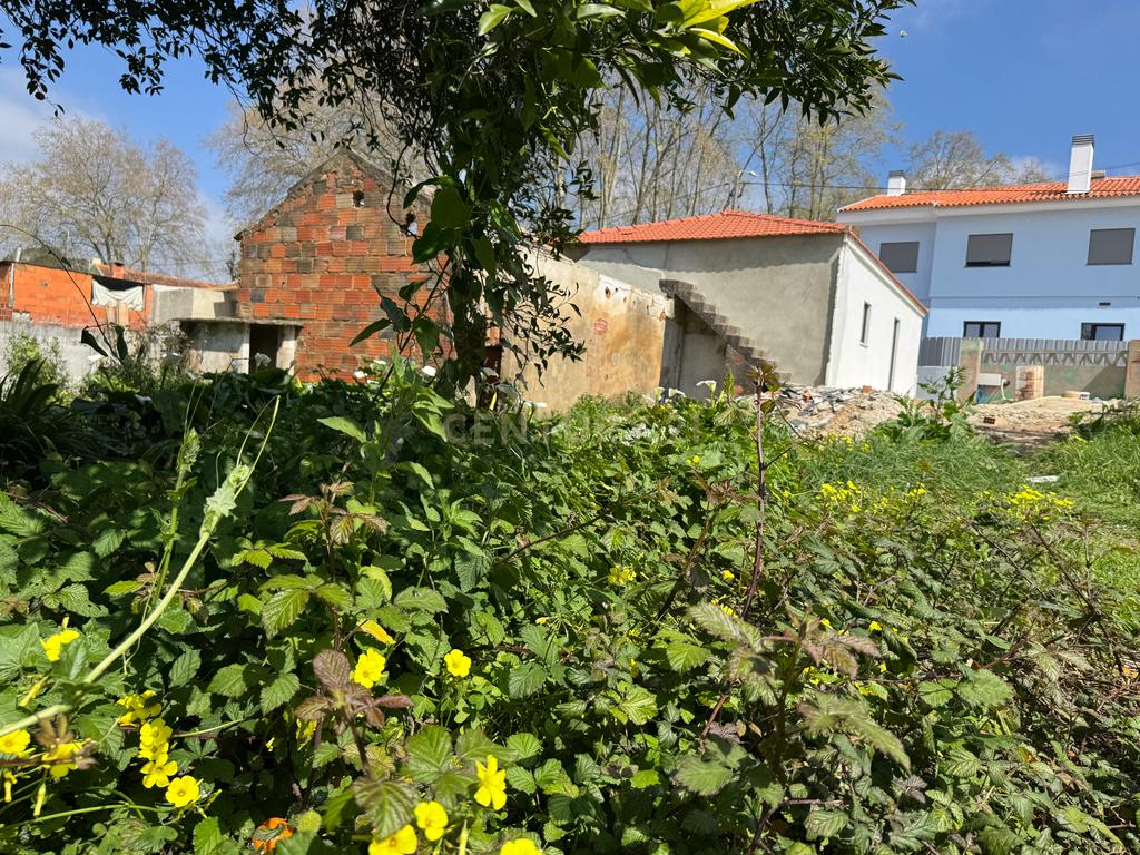 Moradia térrea com 2 quartos e jardim em fase final de renovação em Estarreja, Aveiro - Image 8