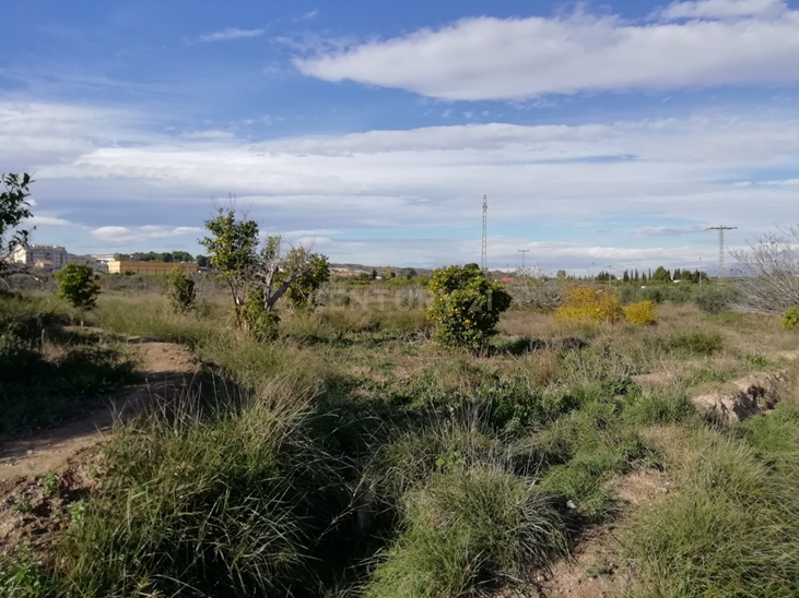 Terreno - Image 2