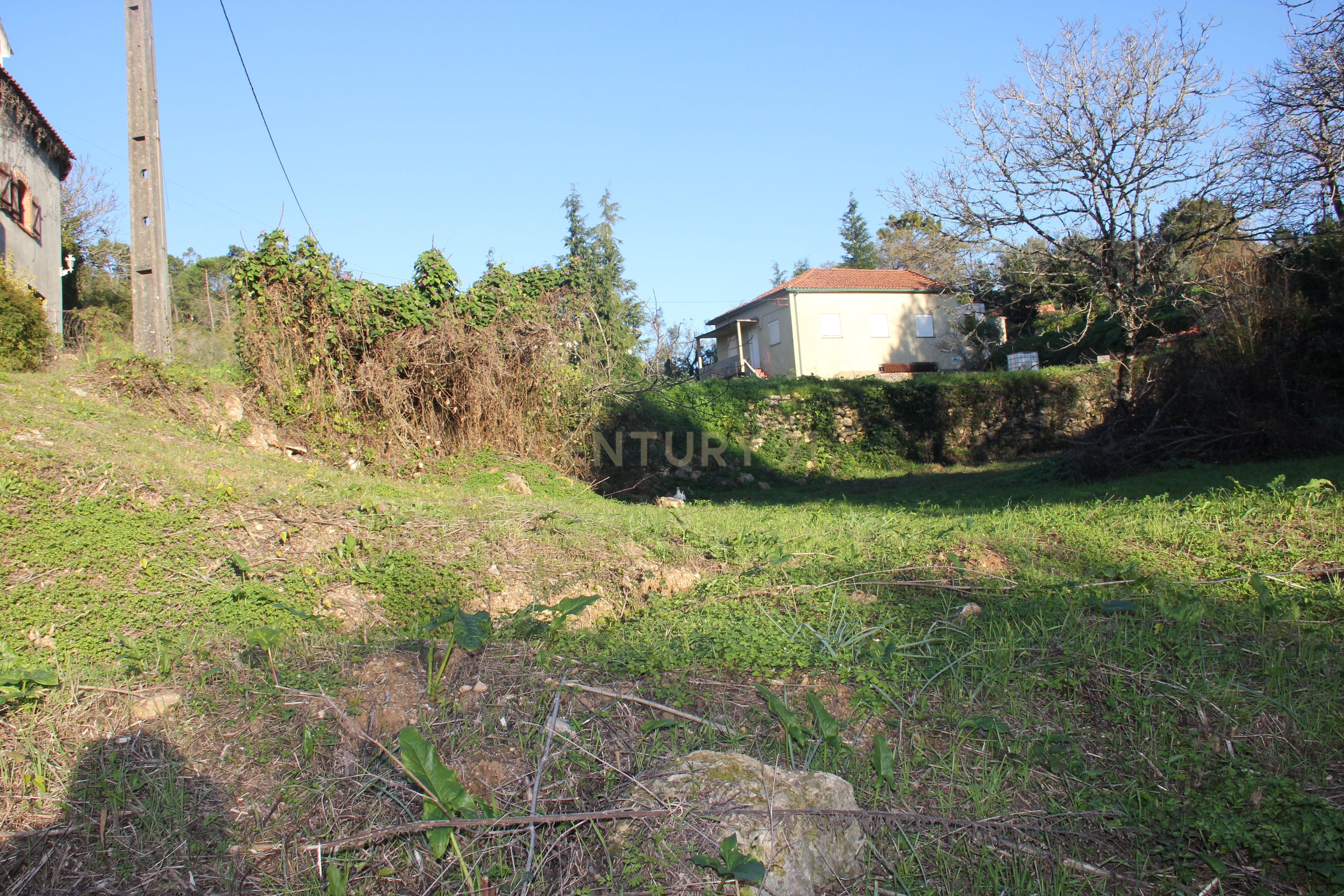 Fantástico terreno para moradia - Image 12