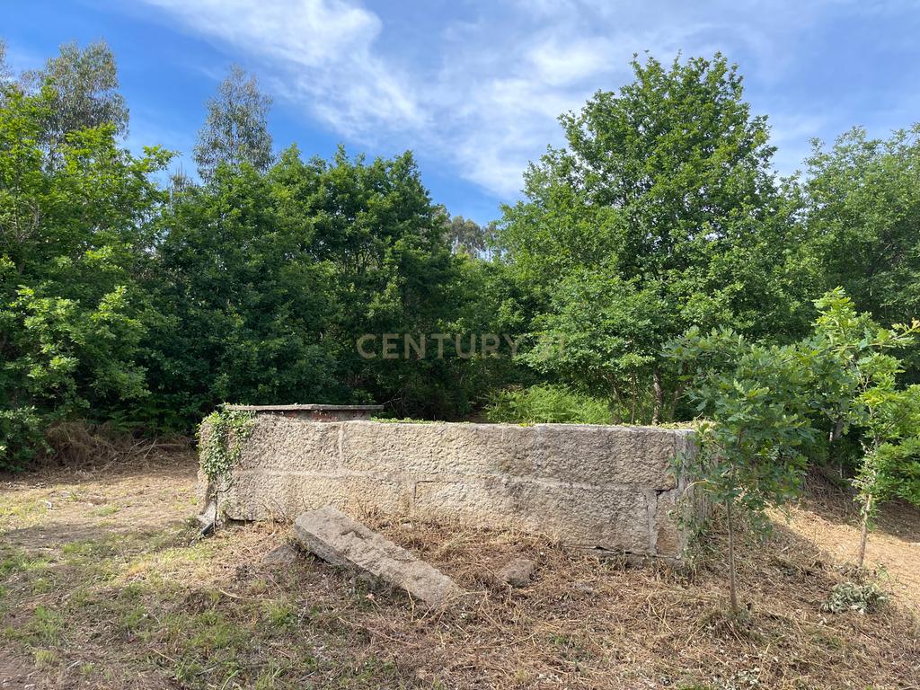 Propriedade com 1,8 hectares de área urbana e 3,2 hectares de solo fértil e floresta, composta por 8 edifícios independentes totalizando 700 m² de área construída, localizada no centro de Serrazes, São Pedro do Sul. - Image 67