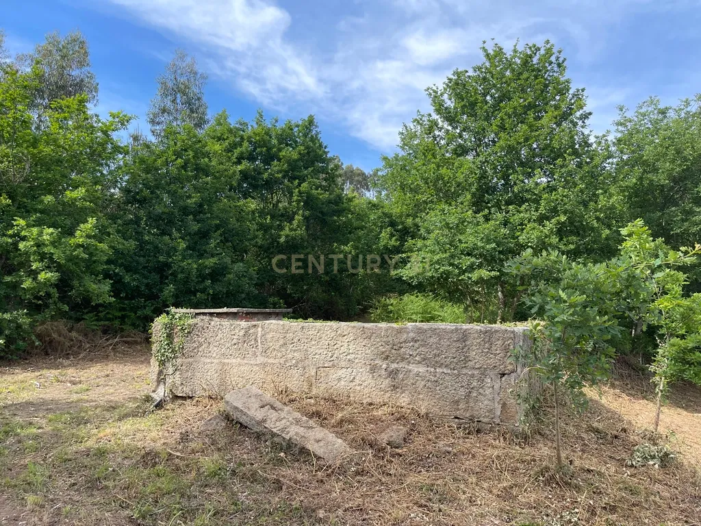 Propriedade com 1,8 hectares de área urbana e 3,2 hectares de solo fértil e floresta, composta por 8 edifícios independentes totalizando 700 m² de área construída, localizada no centro de Serrazes, São Pedro do Sul. - Image 67