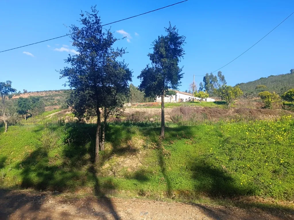 Terreno Misto com 3,66HA - Perna Seca - S. B. Messines - Image 33